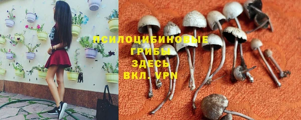 круглые Киренск