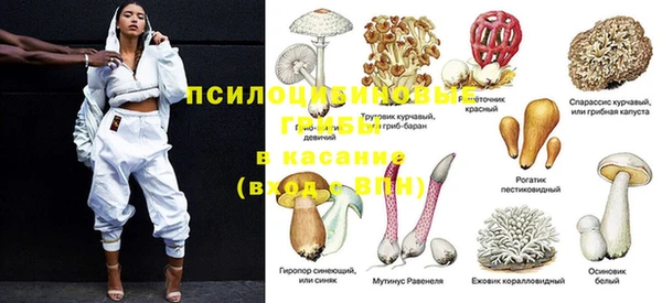mdpv Карталы