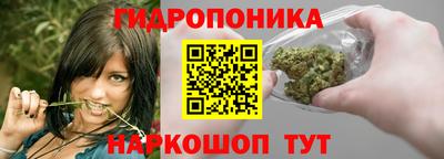 круглые Камышлов