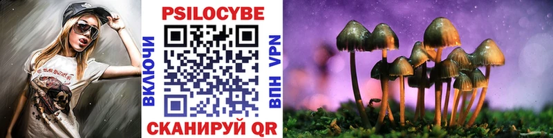 Псилоцибиновые грибы прущие грибы  где продают наркотики  Костомукша 