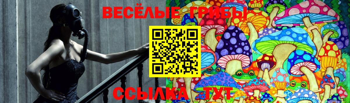 Галлюциногенные грибы MAGIC MUSHROOMS  Вход с VPN  Костомукша 